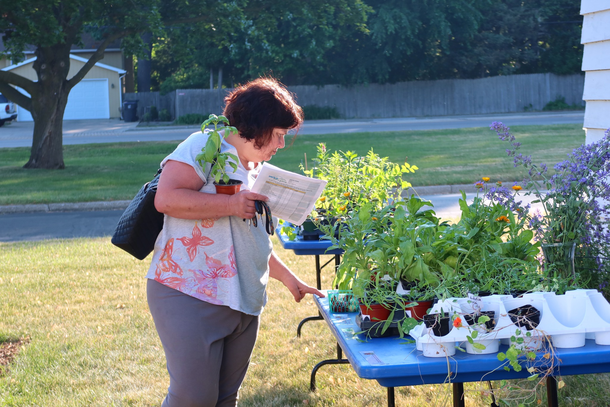 Plant and Flower Day Sale in Waukegan